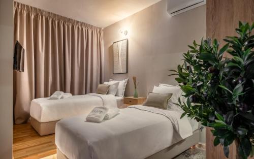 Kinosargous Apartment | Num Suites & Lofts Athens