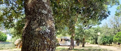 Norbello Other | Nuraghe Ruiu Piazzole campeggio Blue Holiday