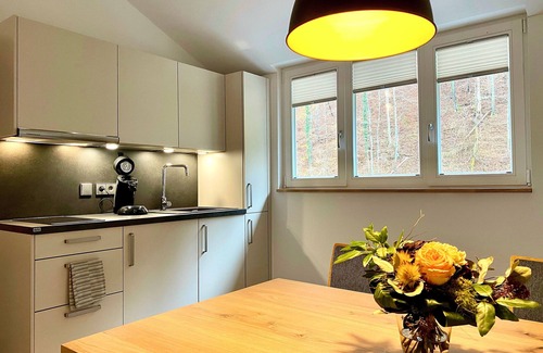 Hassmersheim Apartment | Nussbaum - Siegelsbacher Mühle