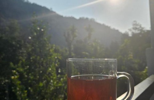 Kunchithanny House | Nutmeg shades Munnar