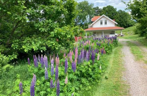Laholm House | Ny Flintarp