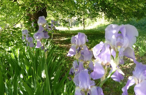 Nyons Cottage | NYONS Autonomous Logis for 4 to 6 people in a quiet Mas with scents of Provence