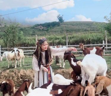 Hau Thao House | O Châu Homestay Lào Cai