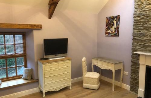 Newcastle Emlyn House | Oakley Bed & Breakfast - Vegetarian, Vegan