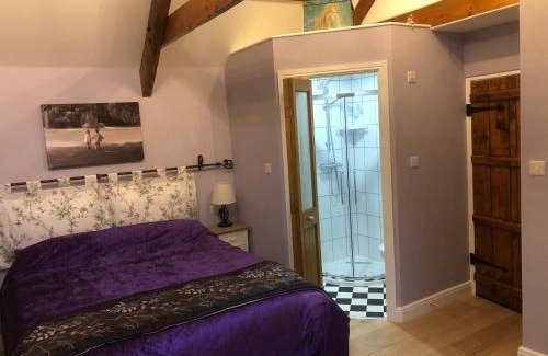 Newcastle Emlyn House | Oakley Bed & Breakfast - Vegetarian, Vegan