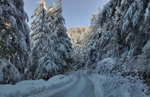 Chail Hotel | Oakwood Hotels