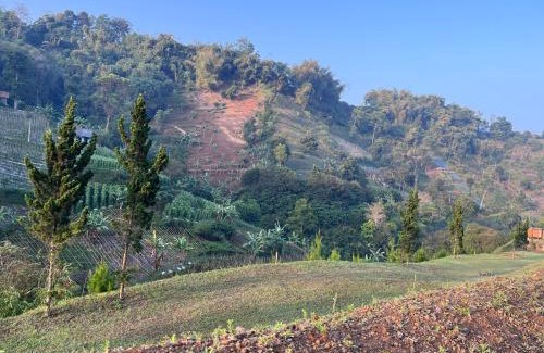 Ngamprah Other | Oasis Inn Glamping