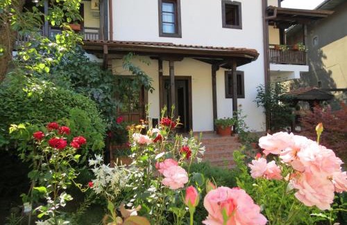 Slivek House | Oazis Guesthouse