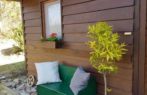 Oberzent House | OB-holiday house buzzard - holiday house buzzard