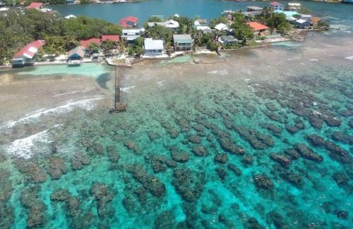 Calabash Bight House | Ocean Breeze Villa Rentals