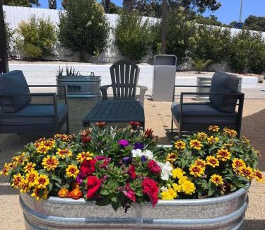 Downtown Hotel | Ocean Palms Motel