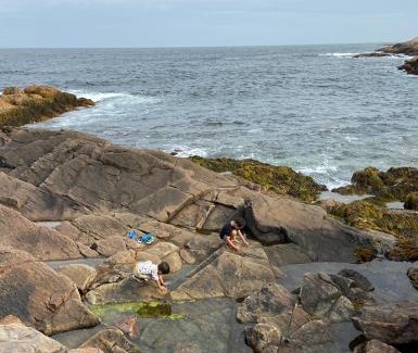 Portuguese Cove Villa | Ocean Sunrise,Beach Front,20 Minutes to Halifax