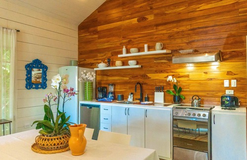 Punta Uva Cottage | Ocean view luxury property, AC, pool in the jungle at short walk to the beach.