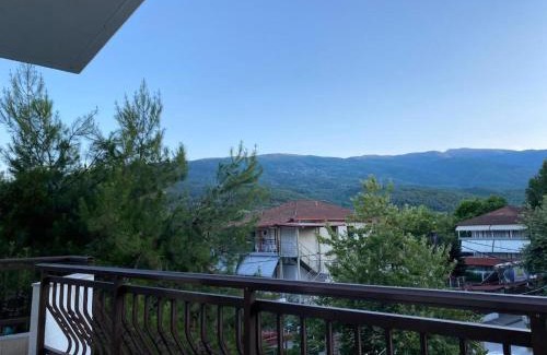 Paralia Pantaleimonos Hotel | OCEANA Beach Hotel