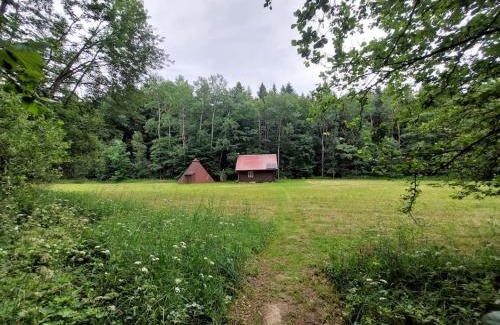 Liberk Ski Chalet | Off-Grid Cottage near river and forest!