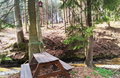 Liberk Ski Chalet | Off-Grid Cottage near river and forest!