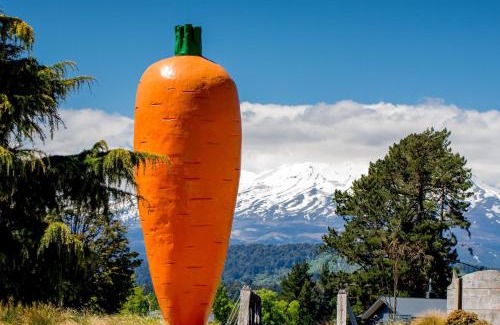 Ohakune Resort | Ohakune TOP 10 Holiday Park
