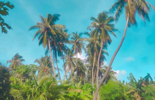 Maamigili House | Oi Beach