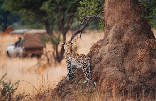 Otjozondjupa Region Cabin | Okonjima Plains Camp