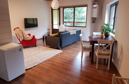 Sinaia Apartment | Olala Forest Apartments