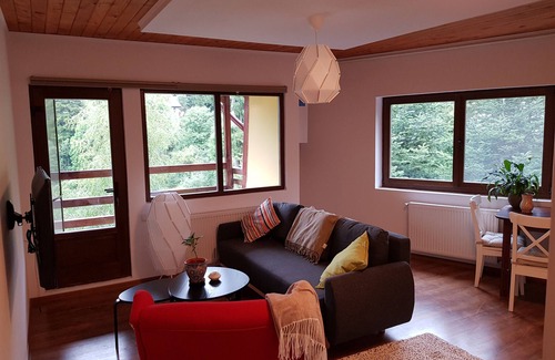 Sinaia Apartment | Olala Forest Apartments