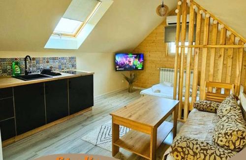 Milowka Apartment | Olberówka