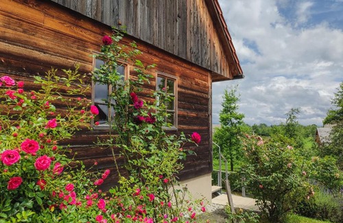 Metlika House | Old Taylor's house