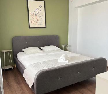 Targoviste Apartment | Old Town View - Ultra Central Apartment - Free Parking