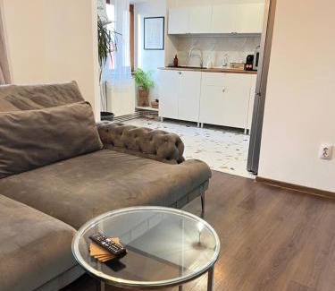 Targoviste Apartment | Old Town View - Ultra Central Apartment - Free Parking