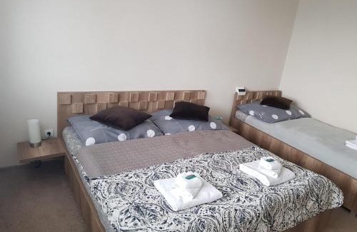 Telgart Apartment | Oli apartments Telgárt