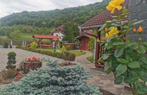 Dealu Villa | OLIMPIA VILLA
