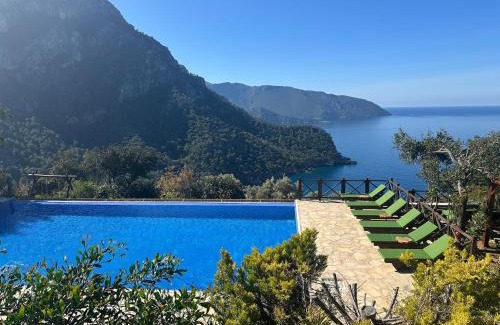 Kabak Valley Resort | Olive Garden Kabak