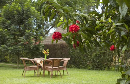 Bugolobi Hotel | Olive Gardens Hotel Kampala