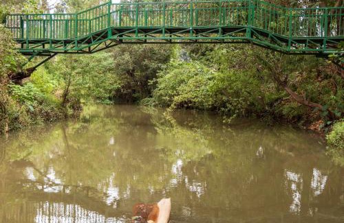 Ruiru Resort | Olive Green Resort Nairobi