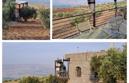Umm Qais House | Olive house
