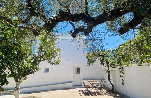Elea Apartment | Olive tree cottage
