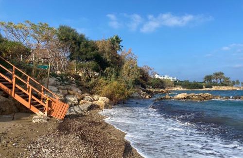 Pernera Villa | Olive Tree Villa - Protaras