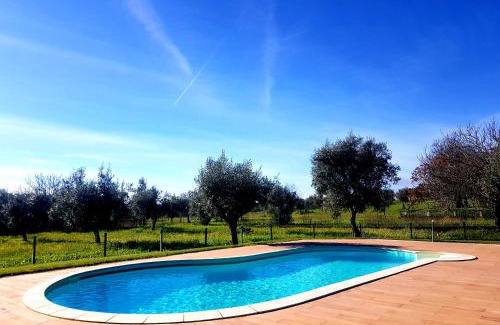 Avis House | Oliveira Country House