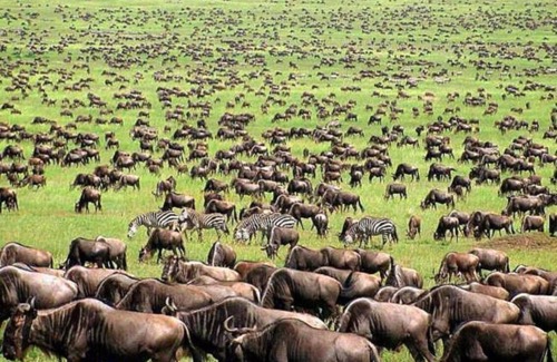 Narok RV Rental | oloiren safari camp