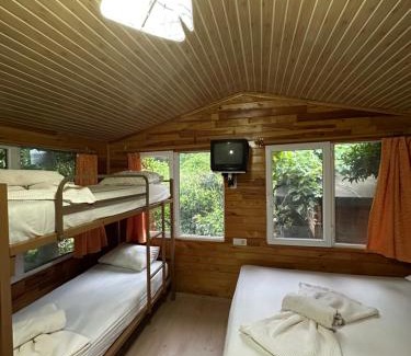 Olympos House | Olympos Natural Pansiyon