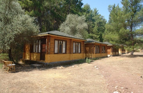 Olympos Resort | Olympos Woods