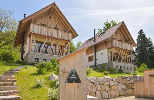 Sasbachwalden House | Oma Ludwin