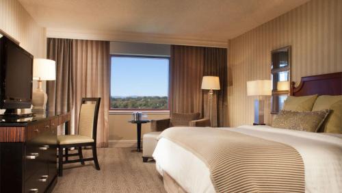 Starr Hill Hotel | Omni Charlottesville Hotel