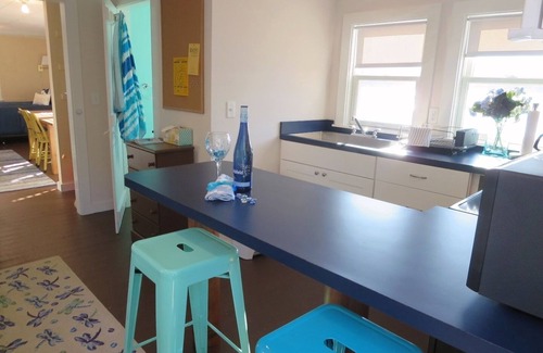 Chatham Cottage | On Goose Pond Pet Friendly Wifi Water Views Private