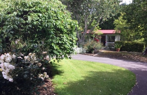 Hawera Cottage | On the out skirts of Hawera