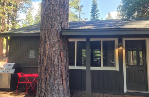 Peninsula Village Cabin | ONE BEDROOM/ONE BATH ON BIG COVE!