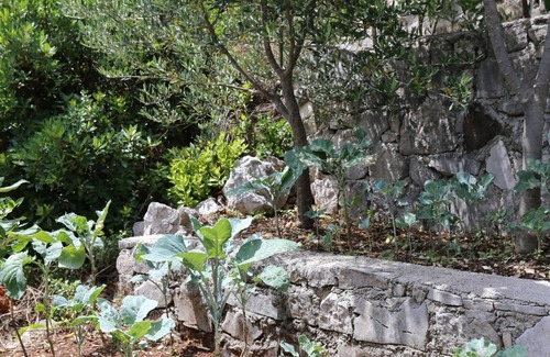 Putnikovic Apartment | One bedroom apartment near beach Kabli, Pelješac (A-10221-a)