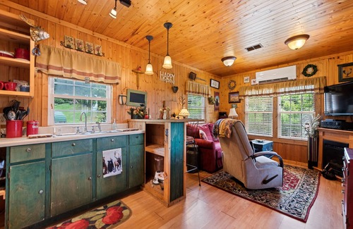 Asheville Cabin | One Bedroom Cabin 43 Acre Retreat Pets OK-Fenced, Private, Views, Internet
