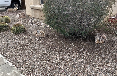 Sky Ranch Apartment | One bedroom, one bathroom, cozy Casita in Marana Az
