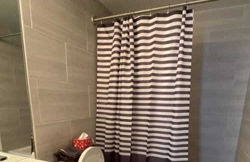 Downtown Winnipeg Apartment | One Bedroom Over Looking the City Laundry Wifi Office Space